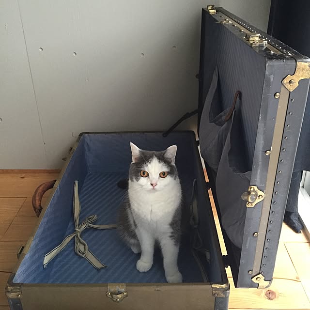 yunさんの実例写真
