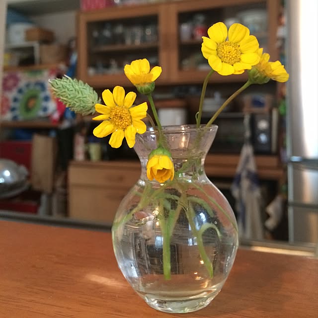 キッチン/IKEA/植物のインテリア実例 - 2015-03-31 11:47:52
