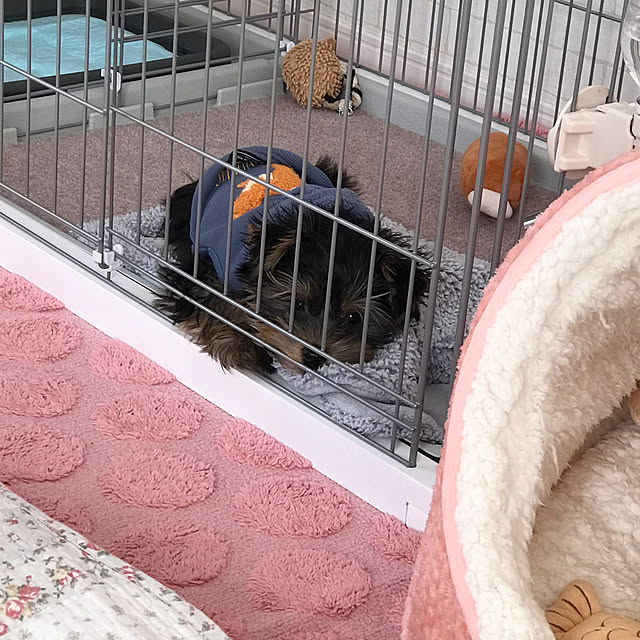 marikoさんの部屋