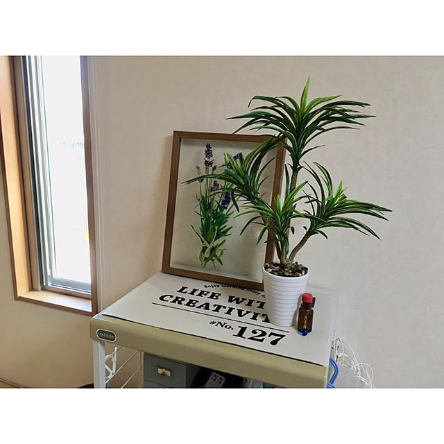 nu-4093さんの実例写真