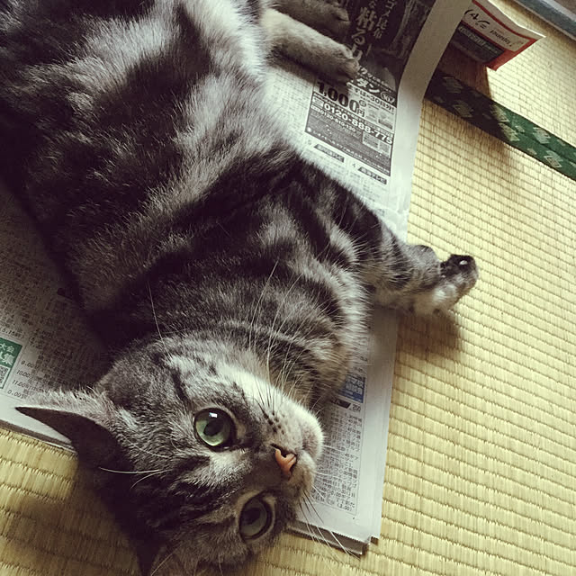 richanさんの実例写真