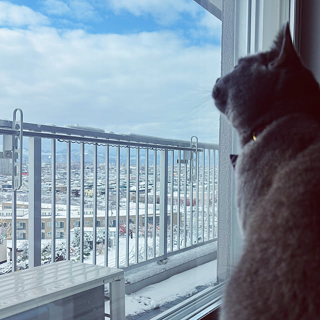 lulu1109さんの部屋