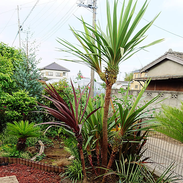 ot-gardenさんの実例写真