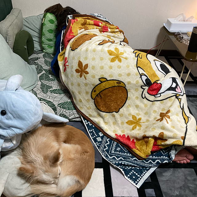 cheminさんの実例写真