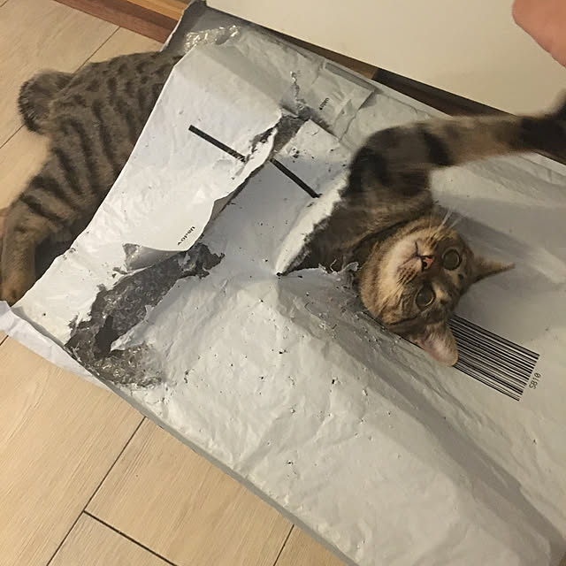 Mさんの実例写真