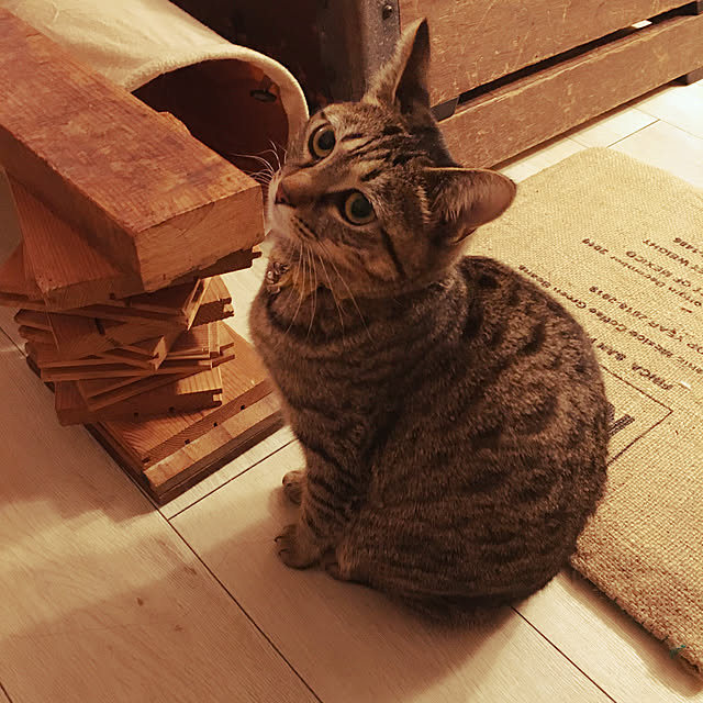 Mさんの実例写真