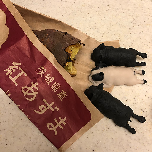 chi_gogaさんの実例写真