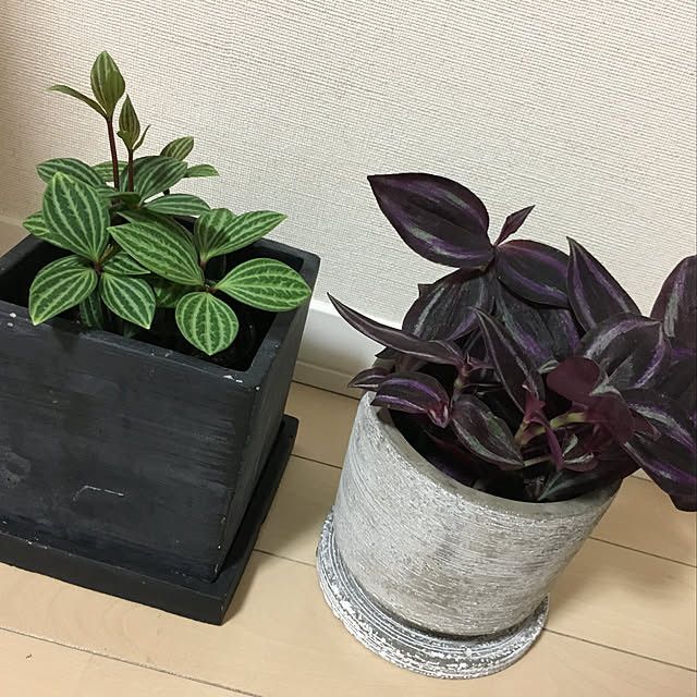 LuLuさんの実例写真