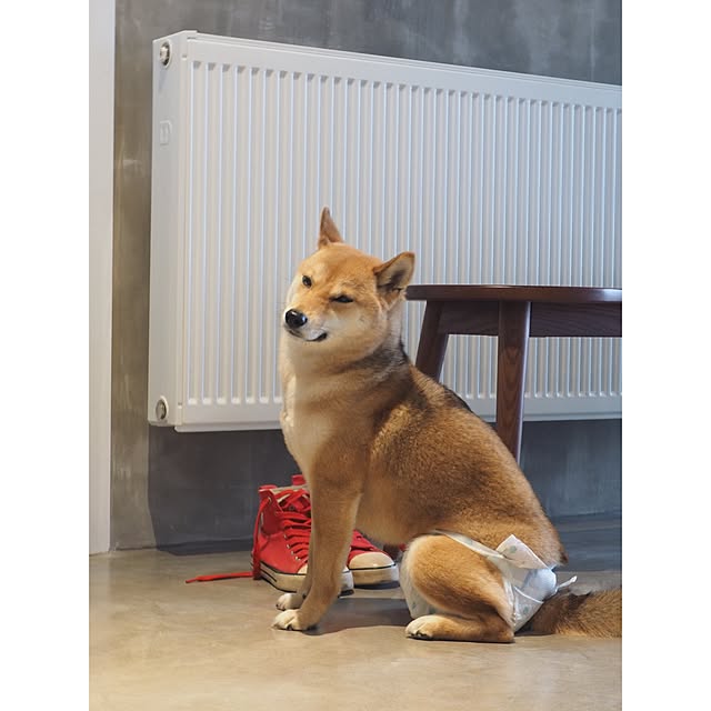 zoeleeさんの実例写真