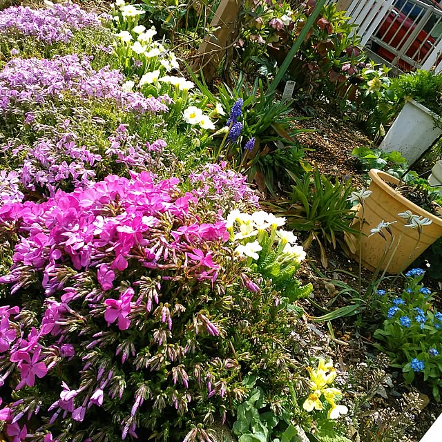 shoko0420さんの実例写真