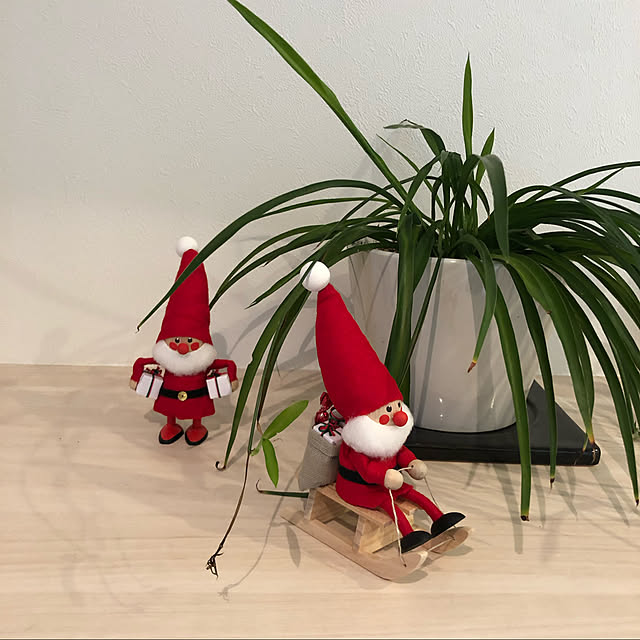 クリスマス/一条工務店 ismart/雑貨/観葉植物/北欧...などのインテリア実例 - 2021-11-23 12:49:32