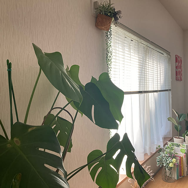 rururuさんの実例写真
