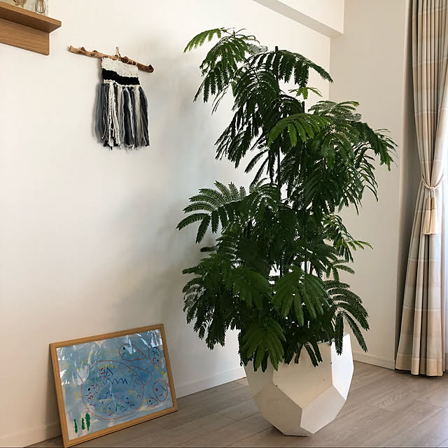 ms710さんの実例写真