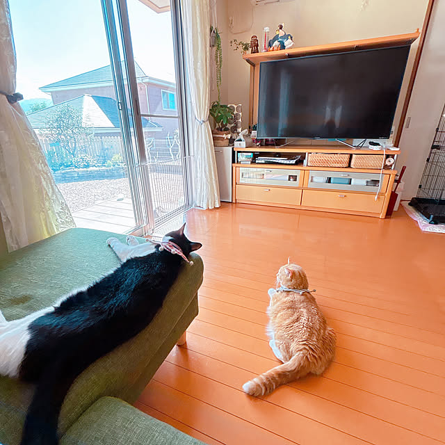 moolさんの部屋