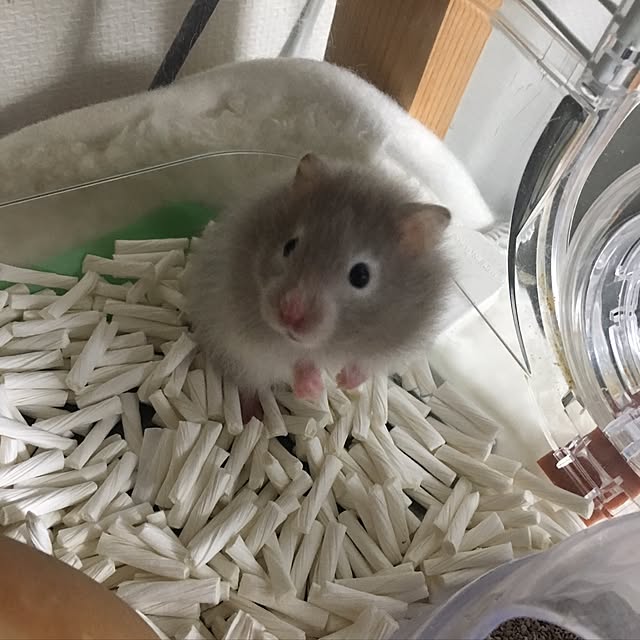 unikoさんの実例写真