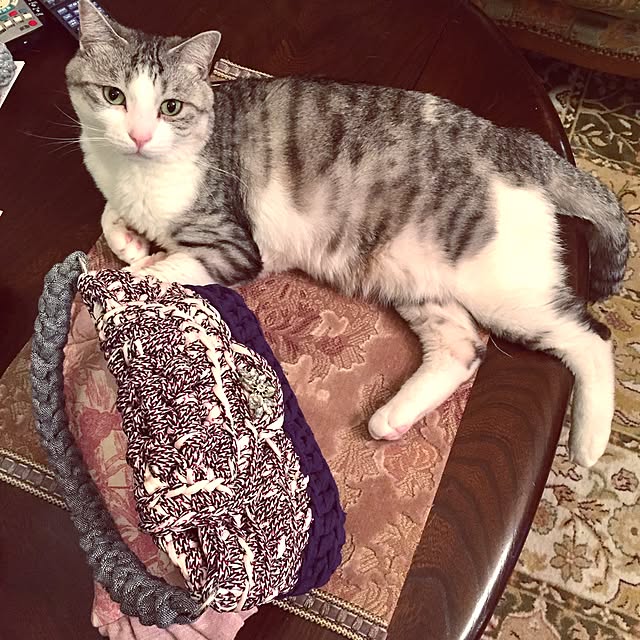 emmyyさんの実例写真