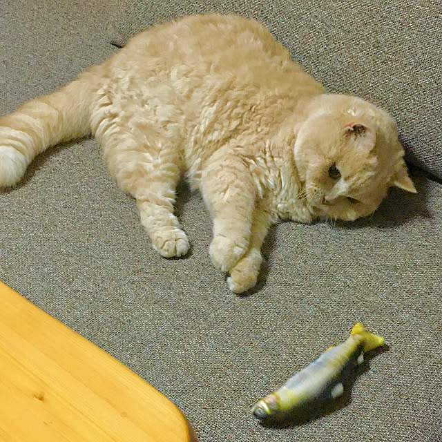 naokoさんの部屋