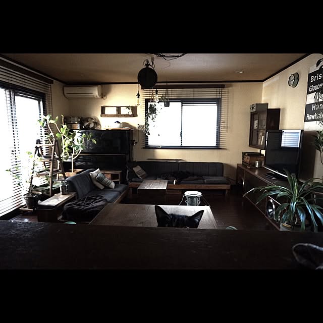 jnkaiさんの実例写真
