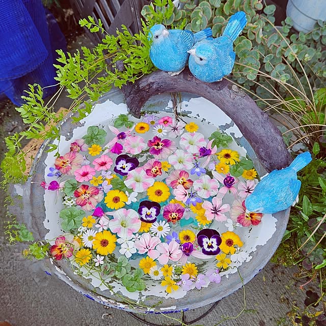 mocomocoさんの部屋