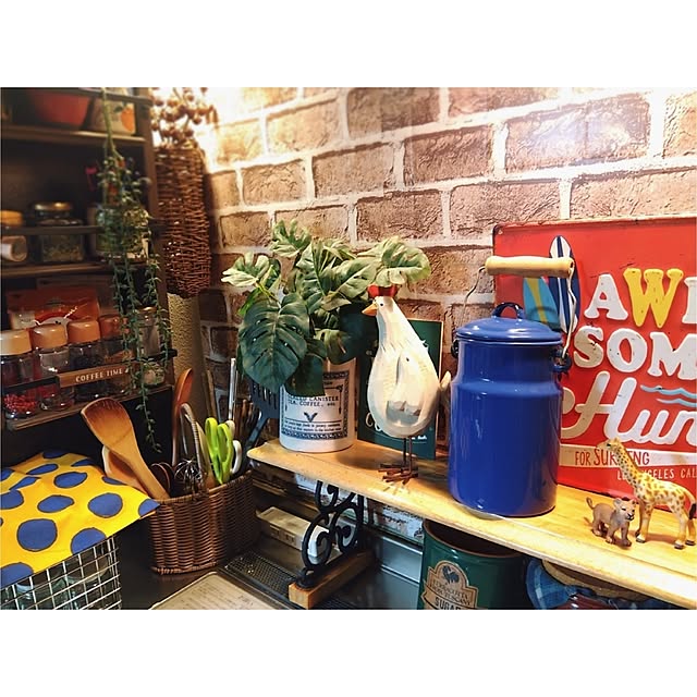 bonitoさんの部屋