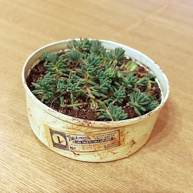 tomotomo_0さんの実例写真