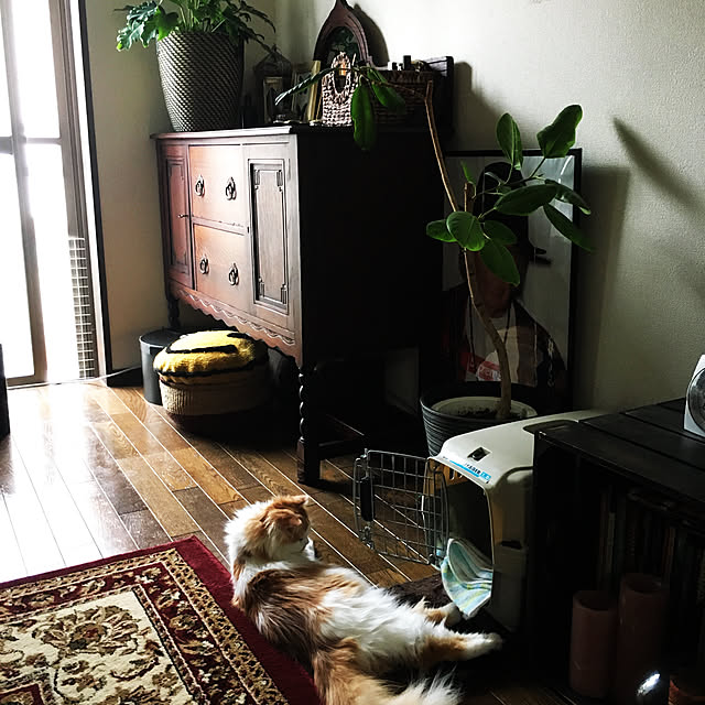 Ray.mさんの実例写真