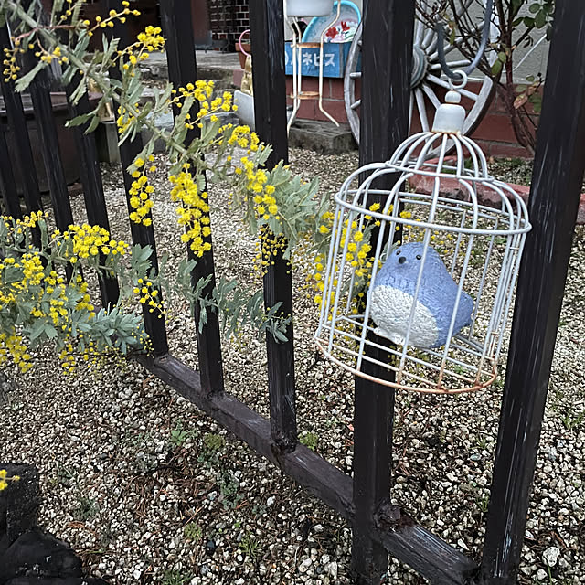 shin0719さんの実例写真