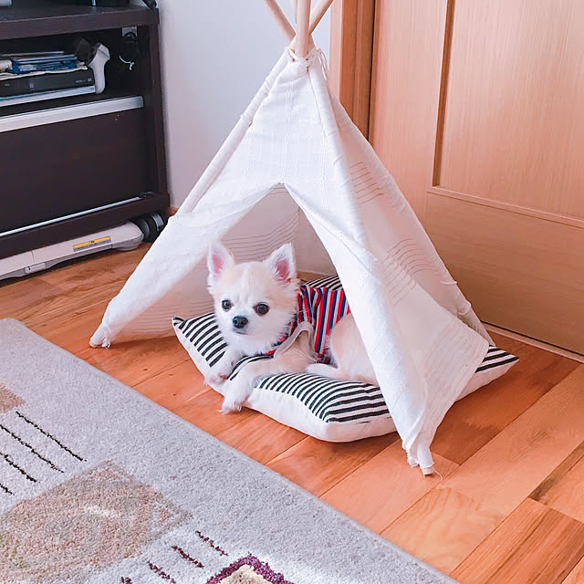 mtk_homeさんの実例写真