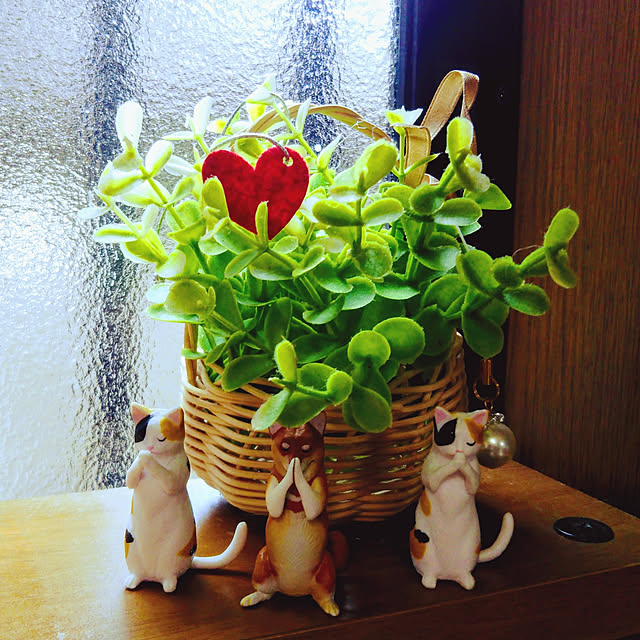 Tirorinさんの実例写真