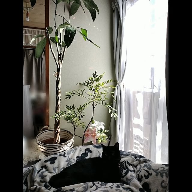 Tさんの実例写真