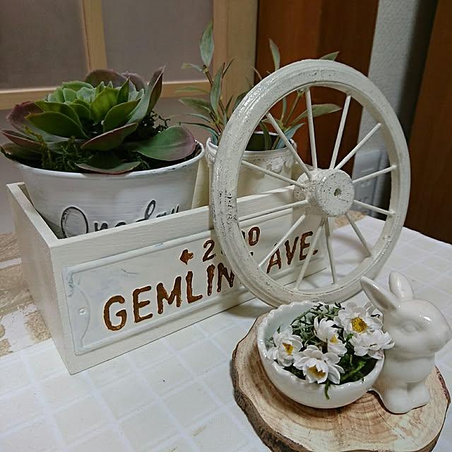 misaさんの実例写真