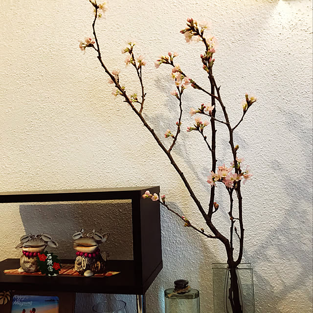 桜/玄関/入り口のインテリア実例 - 2020-03-29 12:49:17