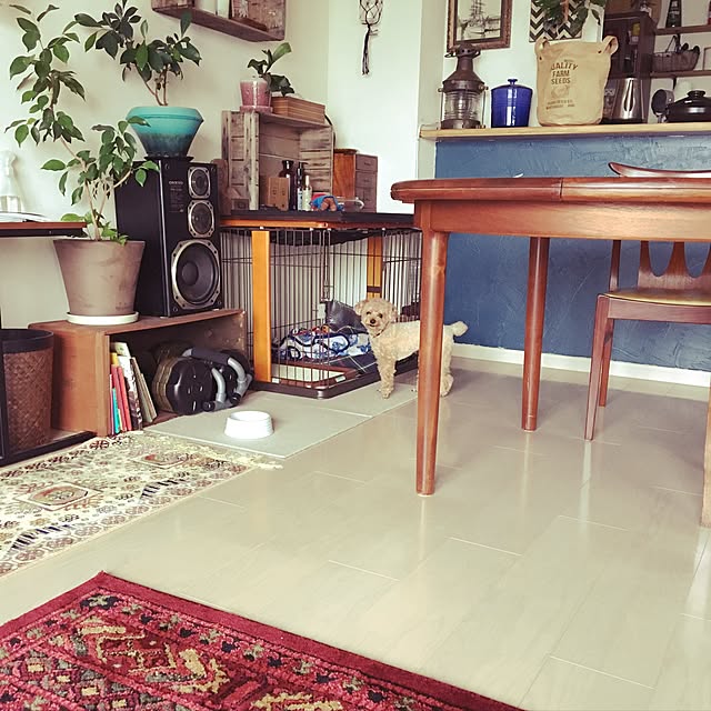 yuchiさんの実例写真