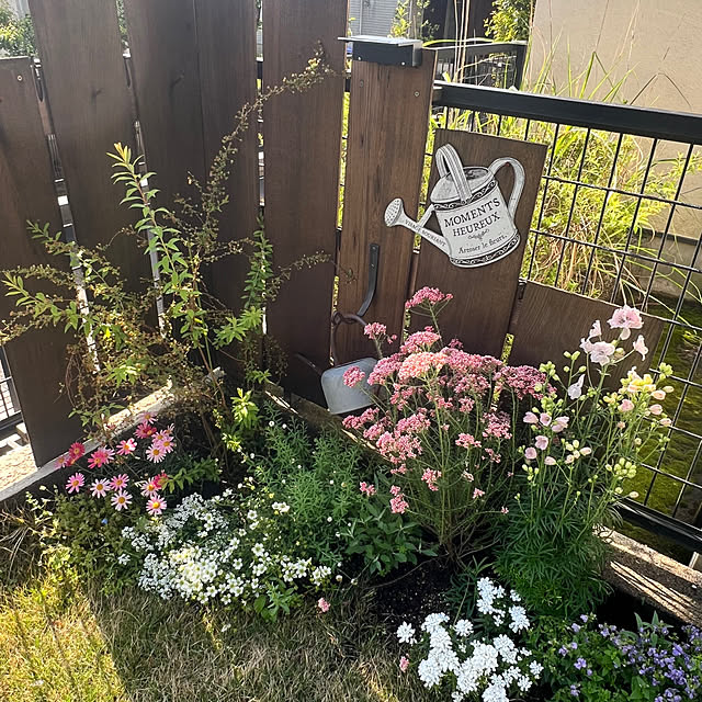 halu8686さんの実例写真