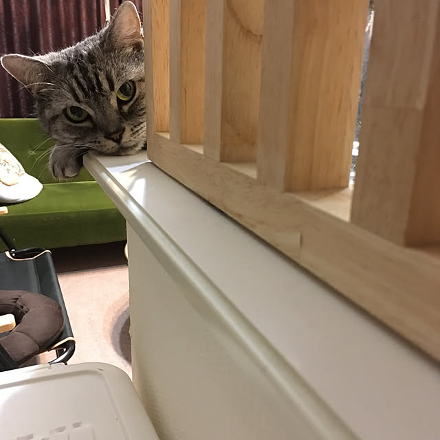 mikomaruさんの実例写真
