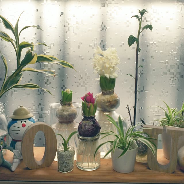 shion825さんの実例写真