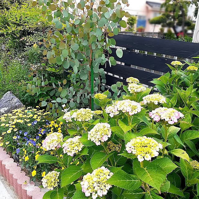 naoporonさんの部屋