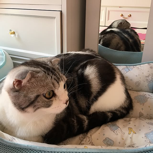 tomommyさんの実例写真