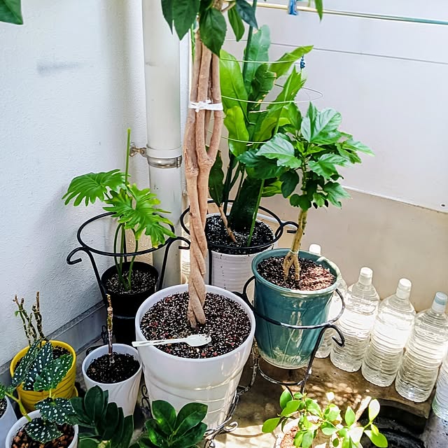 hanachanさんの部屋