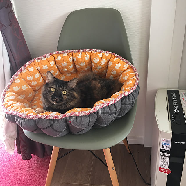 mikomaruさんの実例写真