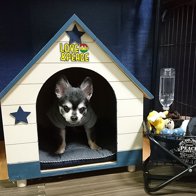 lovepeaceさんの実例写真