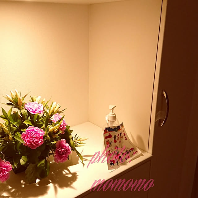 momomoさんの実例写真
