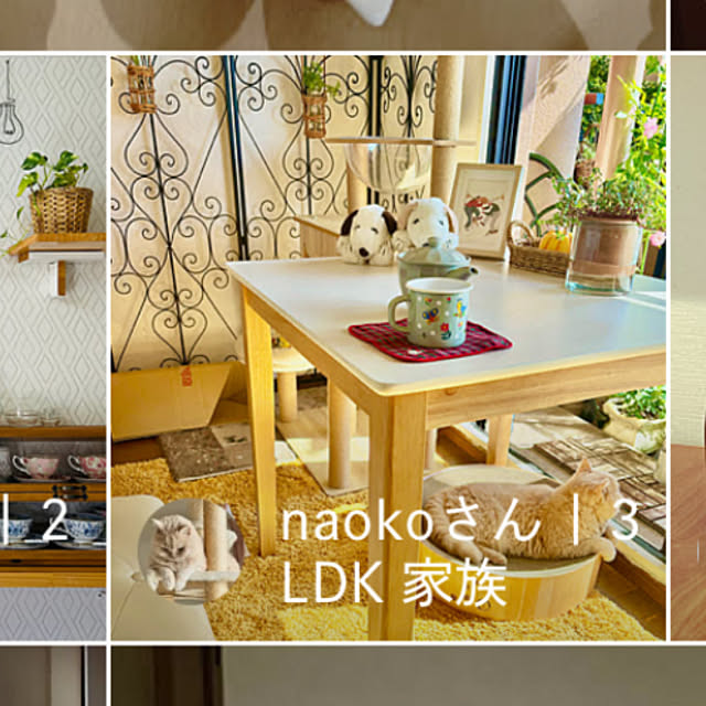 naokoさんの実例写真