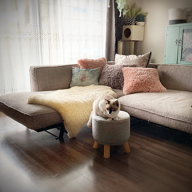 1633さんの実例写真