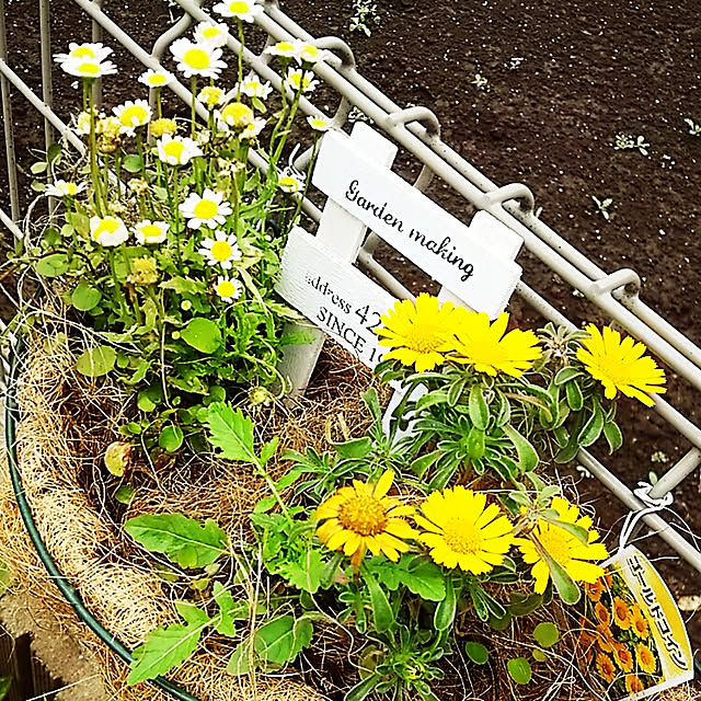Ri-さんの実例写真