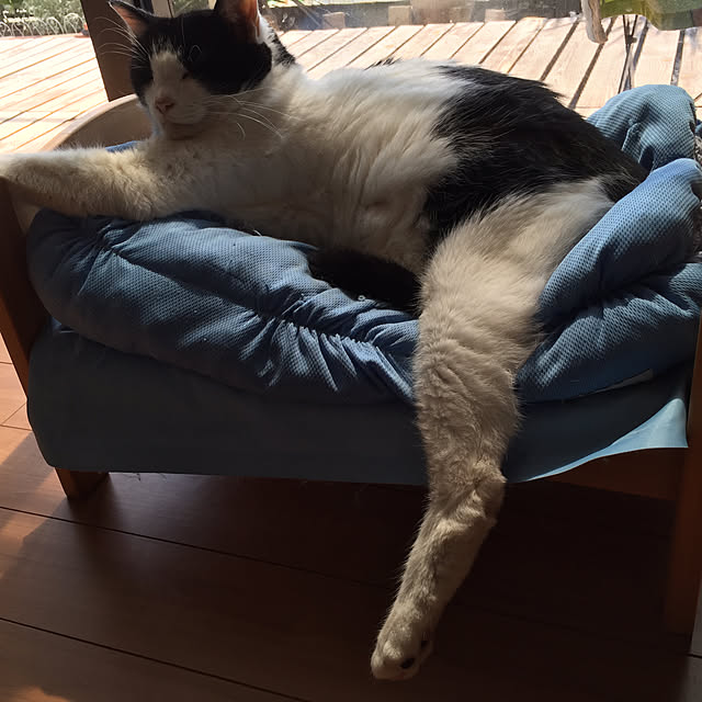 odekoさんの実例写真