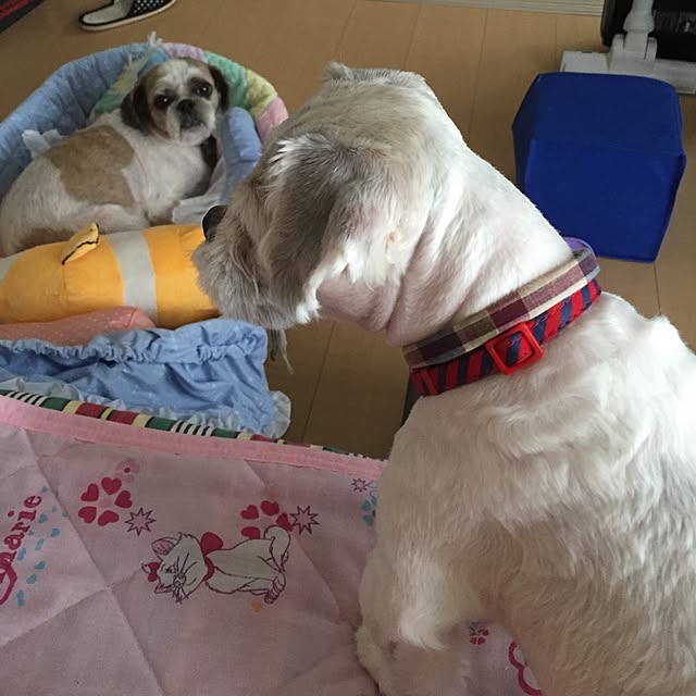emiさんの実例写真