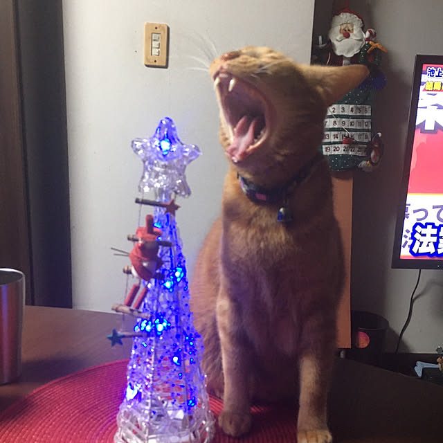naochinさんの部屋