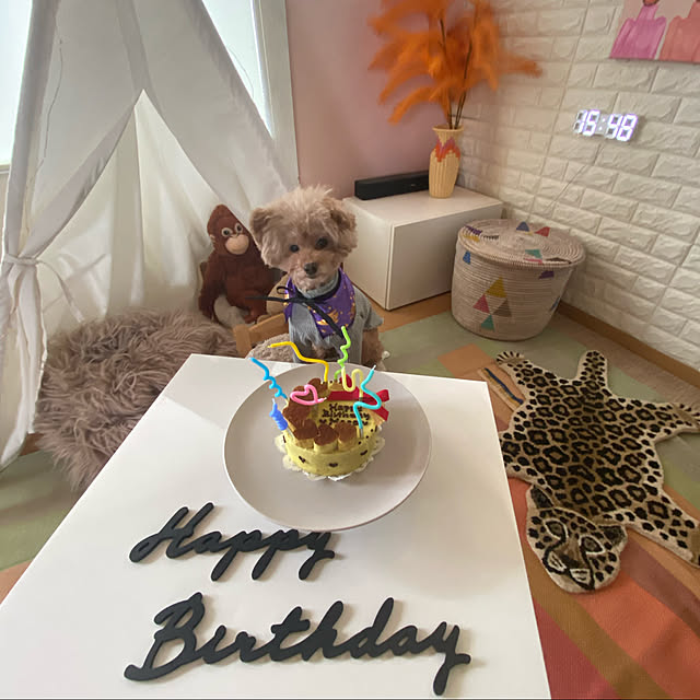 mococoさんの実例写真