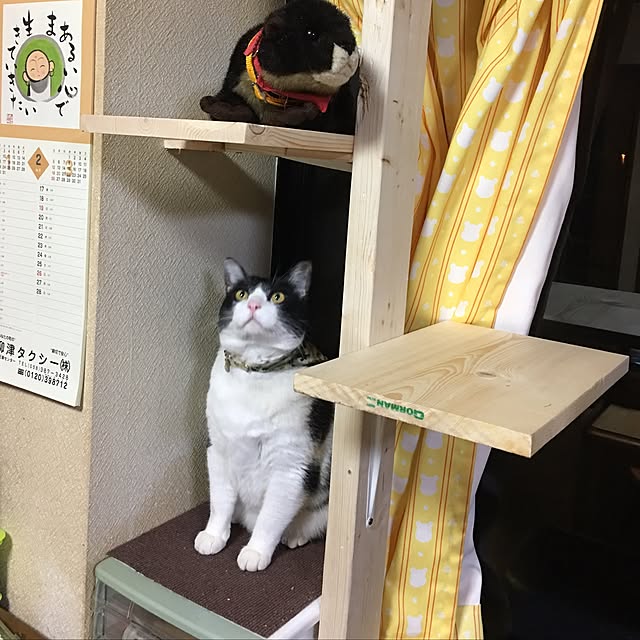 kmakkyiさんの実例写真